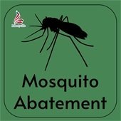 mosquito