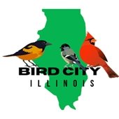 bird city