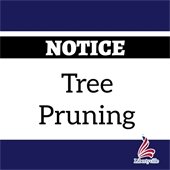 A white rectangle sits in the center of a dark blue background. Text inside the box reads "Notice: Tree Pruning."