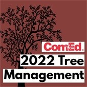 ComEd Tree Management