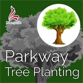 The background is dark green with a tree in the background. Text reads "Parkway tree planting."