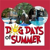 Several photos of dogs jumping into pools are in circular shapes on a red background. Underneath reads "Dog Days of Summer." 