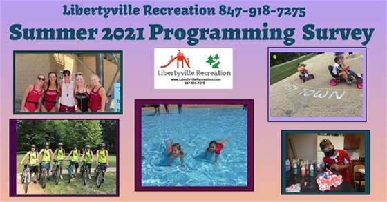 Summer 2021 Programming Survey