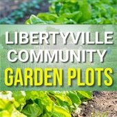 Libertyville Community Garden plots