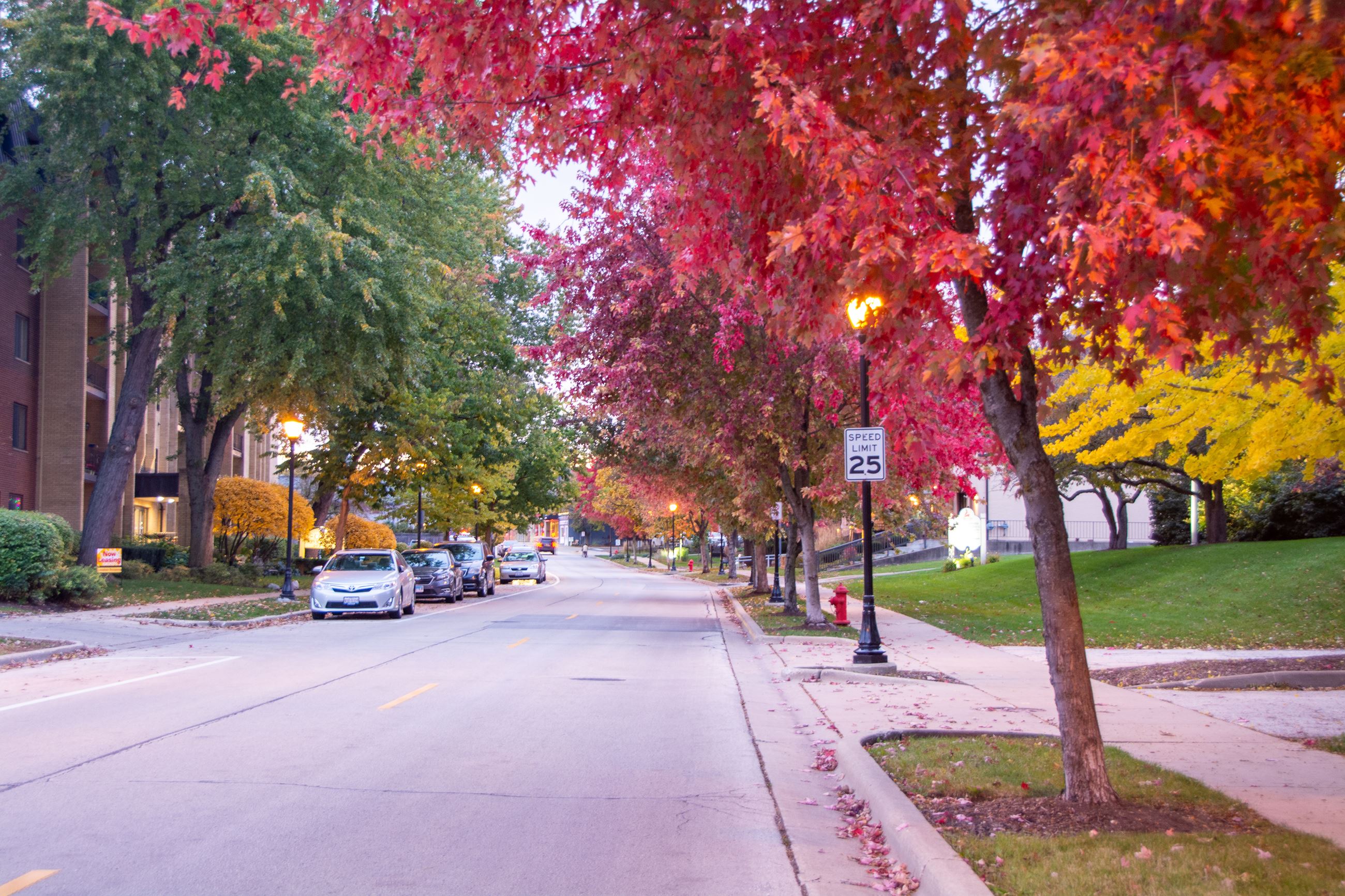 B Leavitt-180325-2657